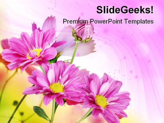 Margherite Flowers Beauty PowerPoint Themes And PowerPoint Slides 0511