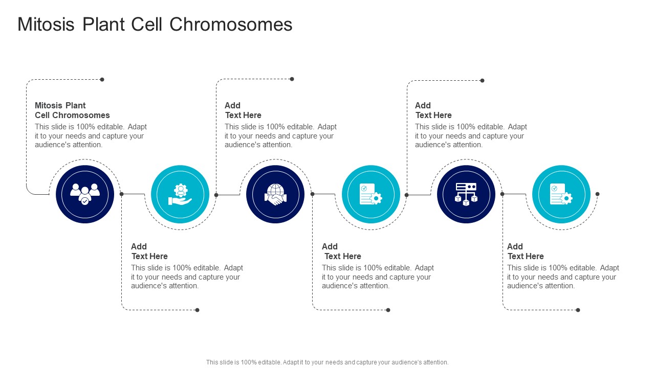 Mitosis Plant Cell Chromosomes In Powerpoint And Google Slides Cpb