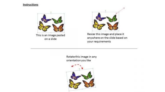 Modern Marketing Concepts Four Cute Butterflies Business Stock Images
