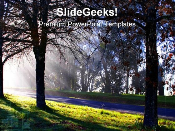 Morning Trees Nature PowerPoint Templates And PowerPoint Backgrounds 0211