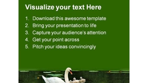 Mother Swan With Babies Family PowerPoint Templates And PowerPoint Backgrounds 0911