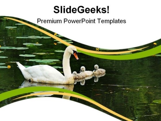 Mother Swan With Babies Family PowerPoint Themes And PowerPoint Slides 0911