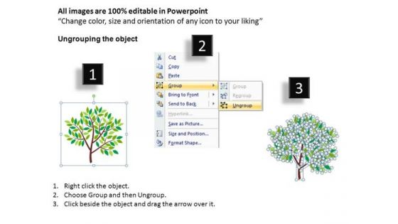 My Family Tree PowerPoint Slides