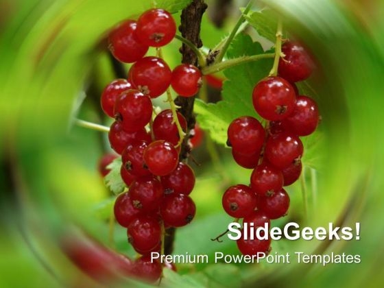 Natural Fruits Garden Food PowerPoint Templates Ppt Backgrounds For Slides 0213