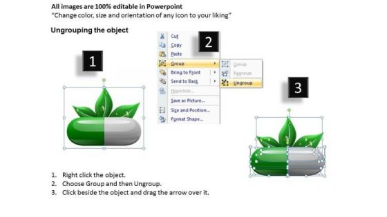 Natural Herbal Health Care PowerPoint Templates Ppt Slides