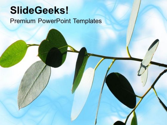 Nature Theme With Sky And Leaves PowerPoint Templates Ppt Backgrounds For Slides 0613