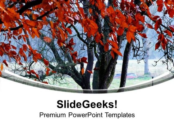 Nature View With Autumn Leaves PowerPoint Templates Ppt Backgrounds For Slides 0713