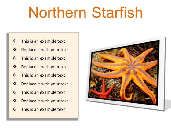 Northern Starfish Beach PowerPoint Presentation Slides F