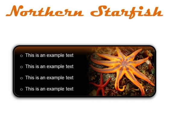 Northern Starfish Beach PowerPoint Presentation Slides R
