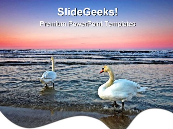 Ocean Sunset With Ducks Nature PowerPoint Templates And PowerPoint Backgrounds 0611