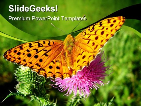Orange Butterfly Animals PowerPoint Themes And PowerPoint Slides 0211