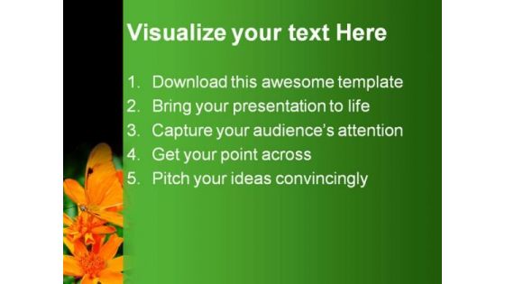 Orange Butterfly Nature PowerPoint Templates And PowerPoint Backgrounds 0211