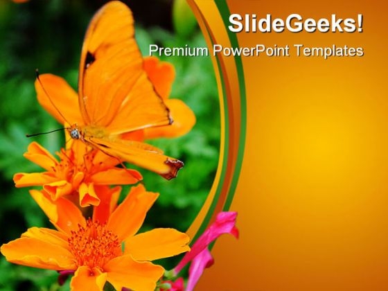 Orange Butterfly Nature PowerPoint Themes And PowerPoint Slides 0211