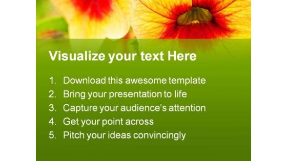 Orange Flowers Beauty PowerPoint Templates And PowerPoint Backgrounds 0211