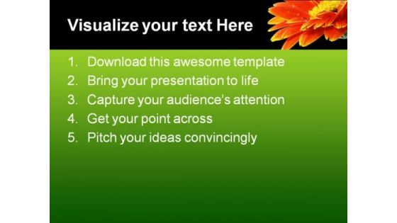 Orange Gerbera Daisy Flower Beauty PowerPoint Templates And PowerPoint Backgrounds 0611