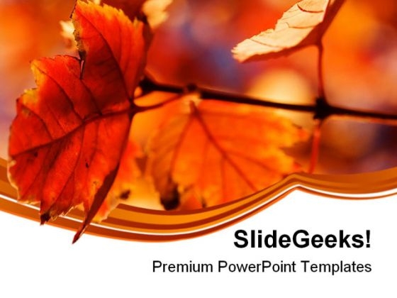 Orange Leaves Nature PowerPoint Templates And PowerPoint Backgrounds 0611