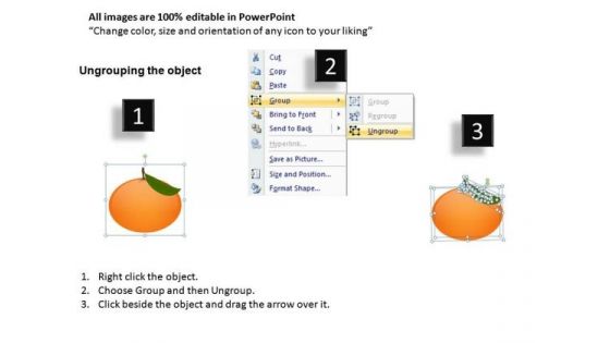 Orange Slices PowerPoint Slides And Ppt Diagram Templates