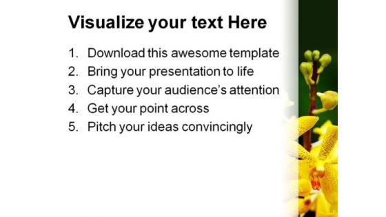 Orchids Flower Beauty PowerPoint Themes And PowerPoint Slides 0511