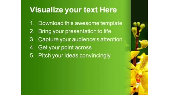 Orchids Flower Beauty PowerPoint Themes And PowerPoint Slides 0511