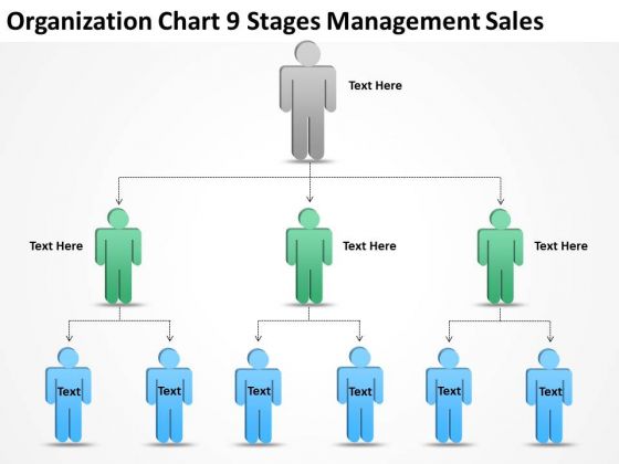 Organization Chart 9 Stages Management Sales Ppt Company Business Plan PowerPoint Slides
