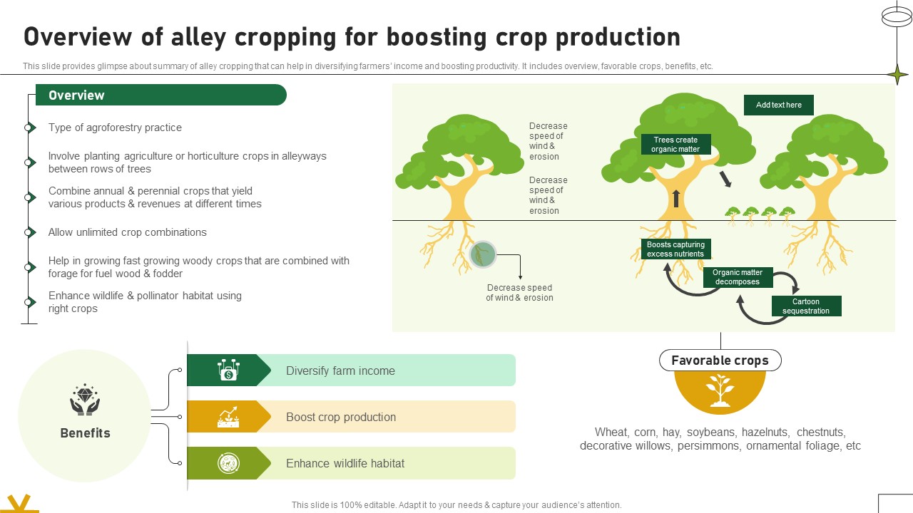 Overview Of Alley Cropping For Boosting Crop Production Adopting Sustainable Farming Techniques