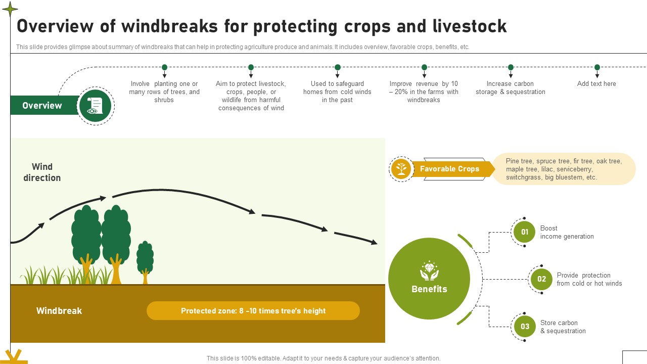 Overview Of Windbreaks For Protecting Crops And Livestock Adopting Sustainable Farming Techniques