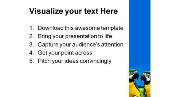 Parrots In Love Beauty PowerPoint Themes And PowerPoint Slides 0211