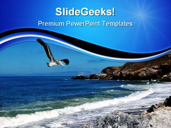 Pelican In Flight Animals PowerPoint Templates And PowerPoint Backgrounds 0611