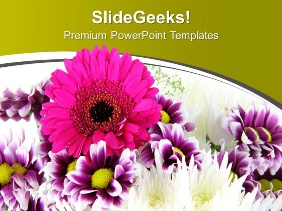 Pink Daisy Flower With Green Background PowerPoint Templates Ppt Backgrounds For Slides 0613