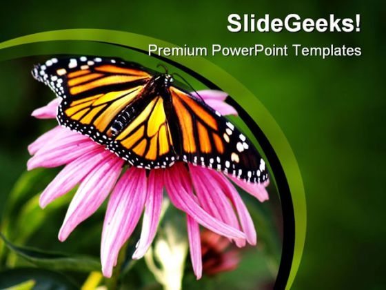 Pink Flower And Butterfly Animals PowerPoint Templates And PowerPoint Backgrounds 0111