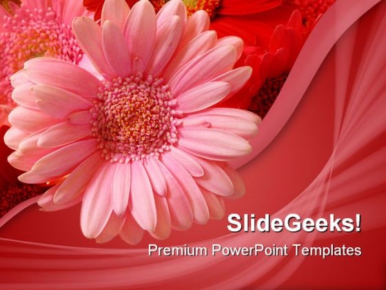 Pink Flower Beauty PowerPoint Template 1110