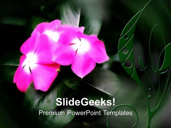 Pink Flower Nature Beauty PowerPoint Templates Ppt Backgrounds For Slides 0513