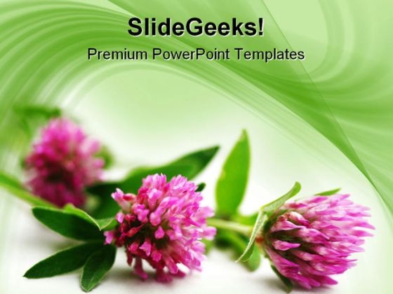 Pink Flowers Beauty PowerPoint Template 1110
