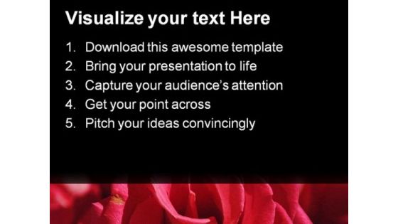 Pink Roses Beauty PowerPoint Templates And PowerPoint Backgrounds 0211