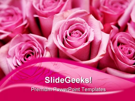 Pink Roses Beauty PowerPoint Templates And PowerPoint Backgrounds 0411