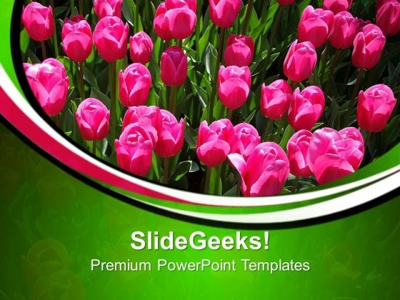Pink Tulips In Garden Beauty PowerPoint Templates Ppt Backgrounds For Slides 0213