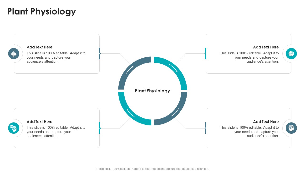 Plant Physiology In Powerpoint And Google Slides Cpb