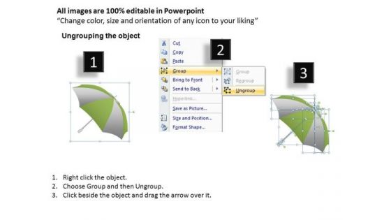 PowerPoint Design Slides Corporate Teamwork Vision Umbrella Chart Ppt Slide