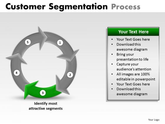 PowerPoint Designs Business Success Customer Segmentation Process Ppt Presentation Designs