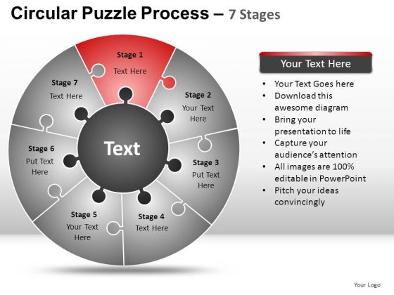 PowerPoint Presentation Success Circular Puzzle Ppt Process