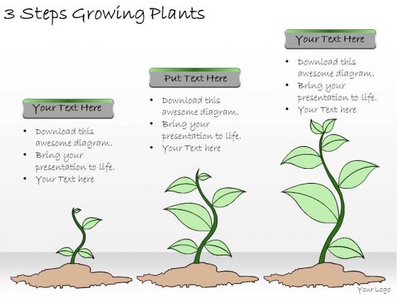 Ppt Slide 3 Steps Growing Plants Marketing