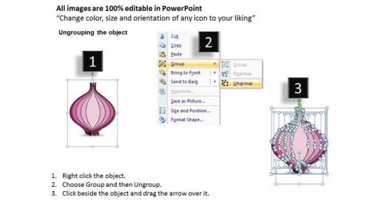 Ppt Slide Describe Business Steps Onion Diagram Plan