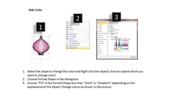 Ppt Slide Describe Business Steps Onion Diagram Plan