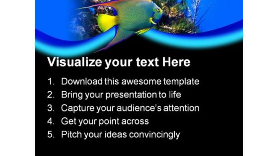 Queen Angel Fish Animals PowerPoint Templates And PowerPoint Backgrounds 0211