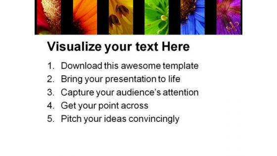 Rainbow Of Different Flowers Beauty PowerPoint Templates And PowerPoint Backgrounds 0311