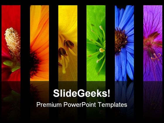 Rainbow Of Different Flowers Beauty PowerPoint Templates And PowerPoint Backgrounds 0311