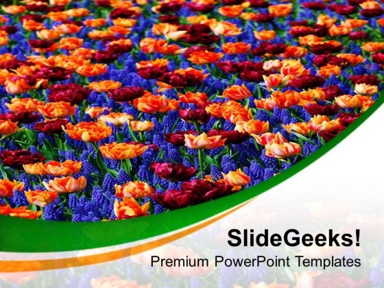 Raise The Beauty Of Life With Flowers PowerPoint Templates Ppt Backgrounds For Slides 0513