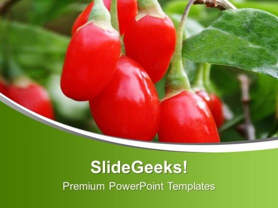 Red And Chilli Pepper PowerPoint Templates Ppt Backgrounds For Slides 0613