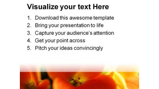 Red And Yellow Flower Beauty PowerPoint Templates And Backgrounds 0311