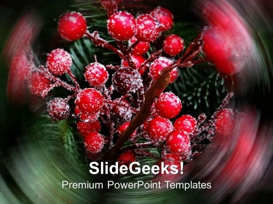 Red Christmas Berries PowerPoint Templates Ppt Backgrounds For Slides 0513